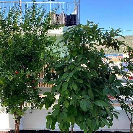 Citrus Apartment Argostoli  Eksteriør bilde