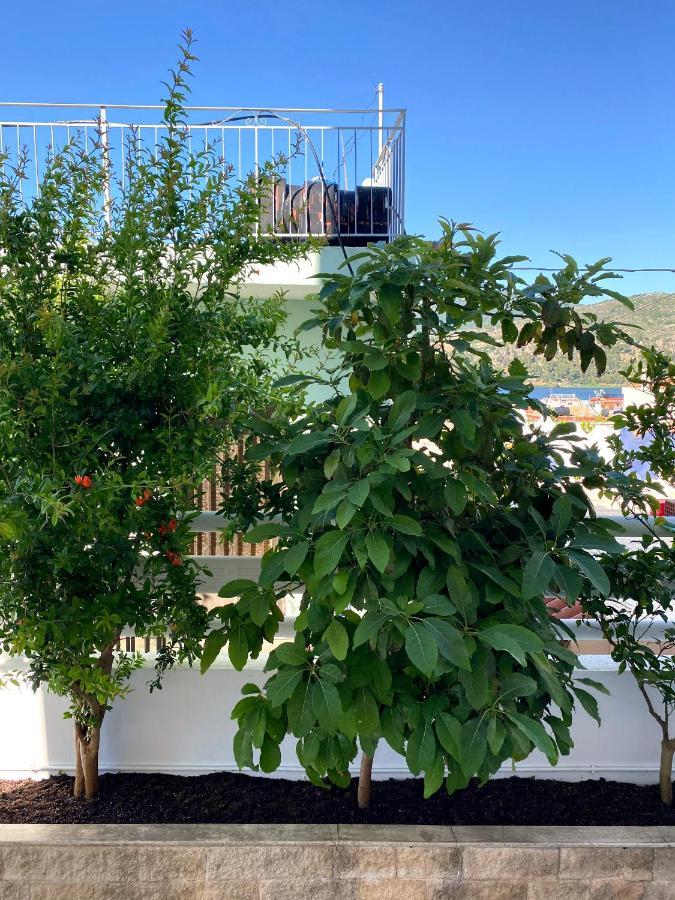 Citrus Apartment Argostoli  Eksteriør bilde